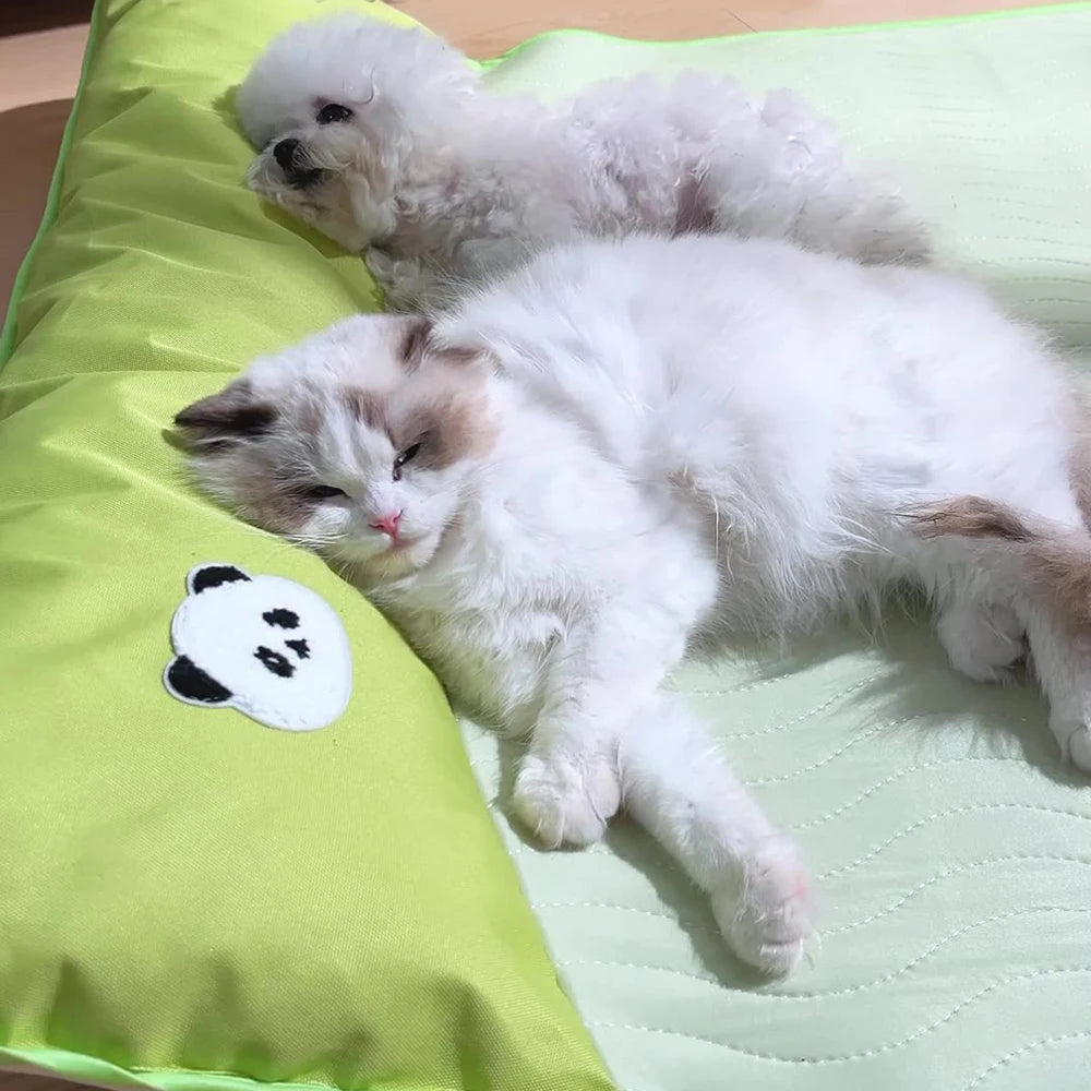 Cama Ortopédica Gatos y Perros Green Panda: Colchón de látex transpirable, base antideslizante y diseño resistente a mordidas
