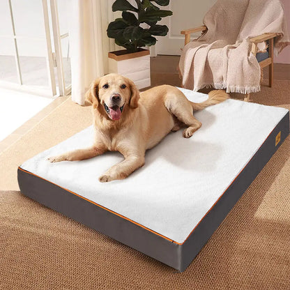 Cama Ortopédica Perros Varias Tallas (M, L, XL, 2XL, 3XL): impermeable y cómoda. Incluye funda lavable para fácil limpieza.
