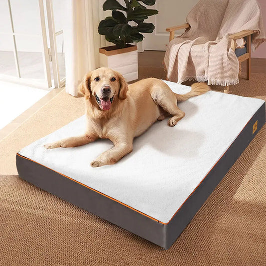 Cama Ortopédica Perros Varias Tallas (M, L, XL, 2XL, 3XL): impermeable y cómoda. Incluye funda lavable para fácil limpieza.