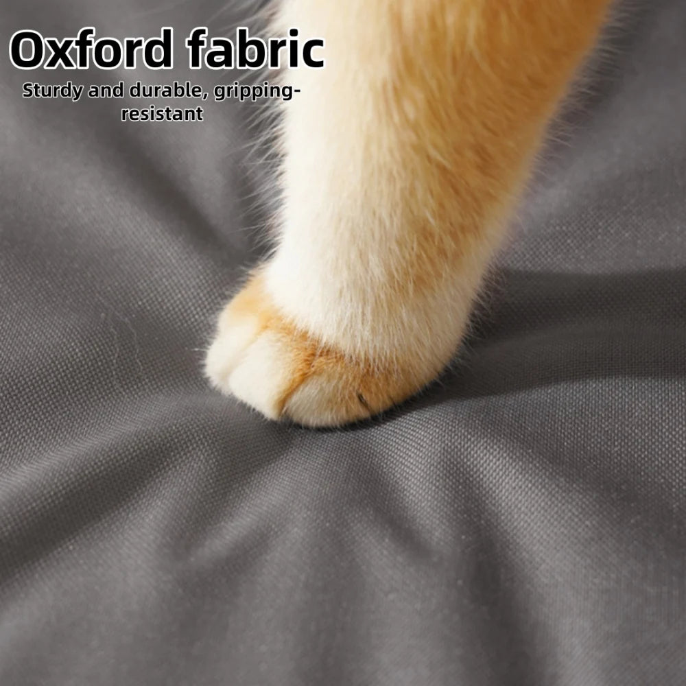 Cama Ortopédica Perros y Gatos: todas las estaciones, resistente a arañazos y mordidas, funda extraíble y lavable